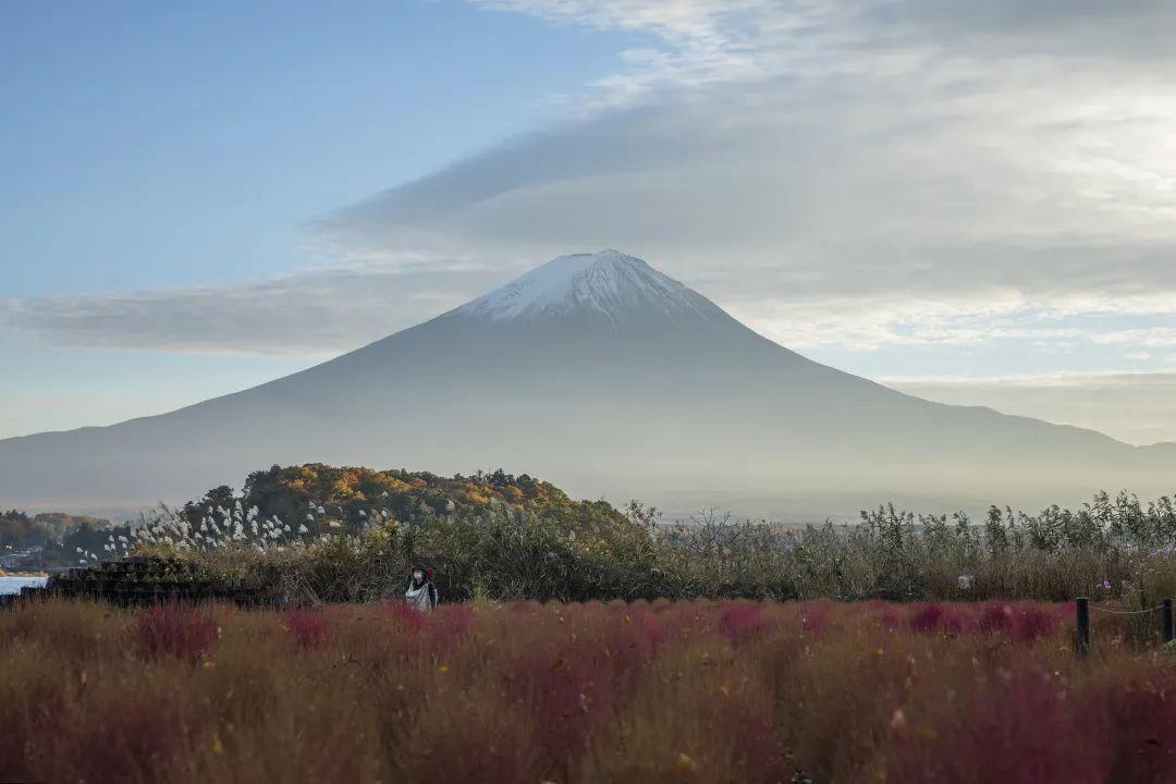 富士山直播VIP账号的独特体验之旅