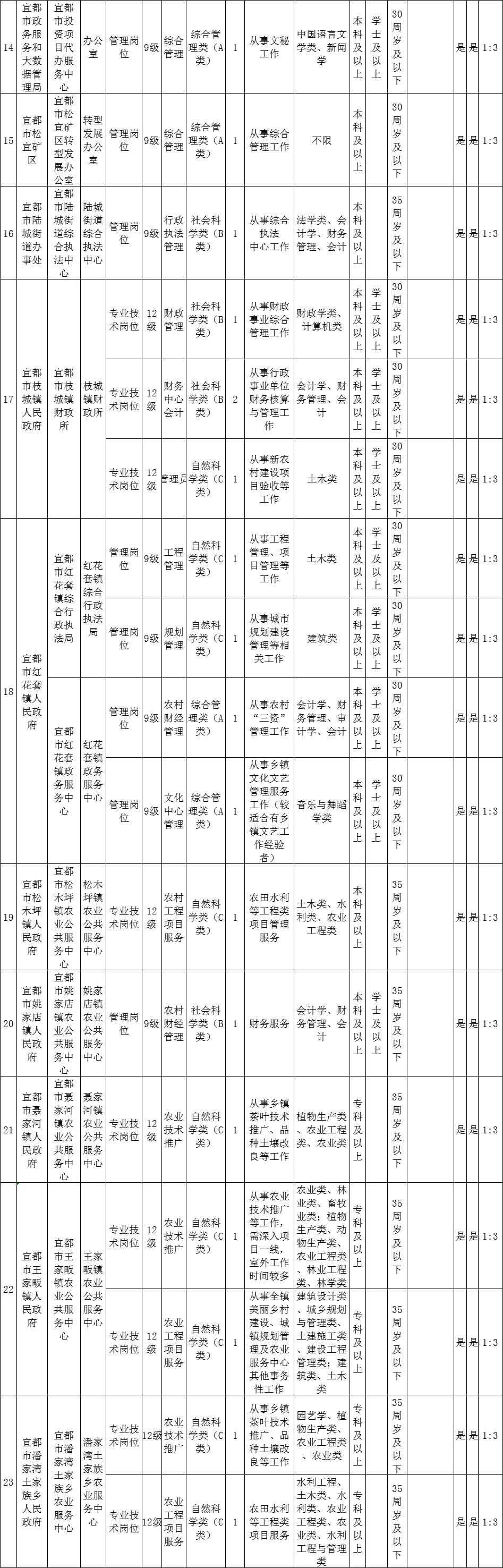 最新招聘单位的探索与机遇，职场新动向解析