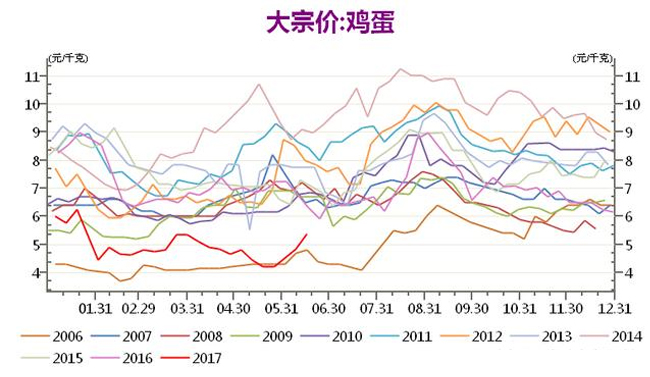 鸡蛋最新市场价格走势解析