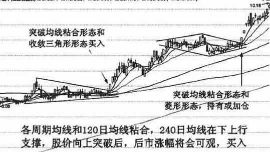 2024年12月18日 第13页