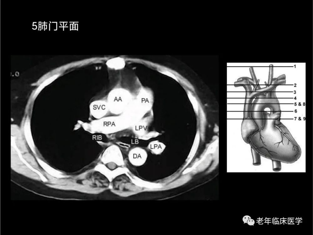 新澳精选资料免费提供,经典解释落实_CT64.262