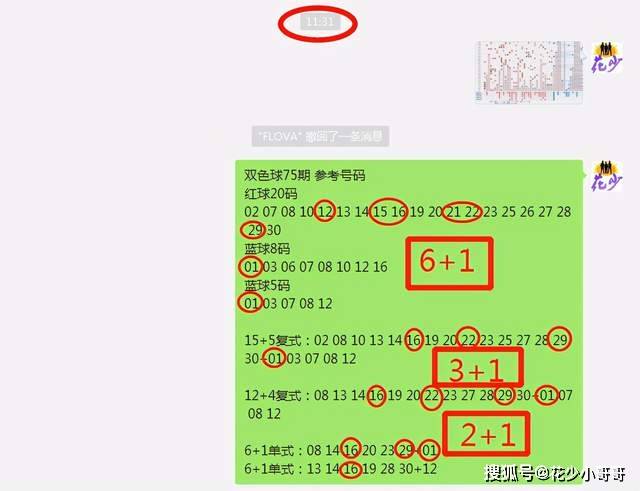 白小姐今晚特马期期准六,专业解析说明_Kindle13.762