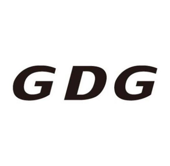 GDG最新动态，技术革新引领未来数字世界塑造者