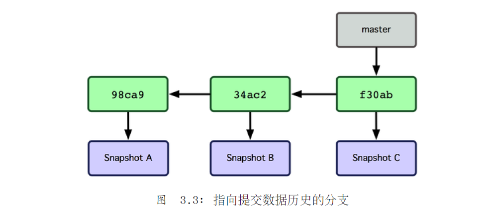 最新分支探索与发现之旅