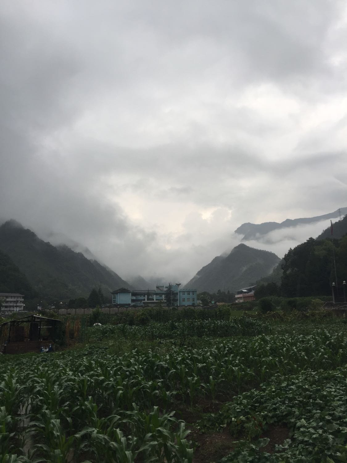 大碶街道天气预报更新通知